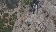 Elazığ'da arıcıların zorlu mesaisi: Ayılardan korumak için kovanları kayalıklara astılar
