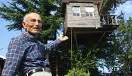 85 yaşındaki dede torununun hayali için 90 yıllık meşe ağacını mesken tuttu