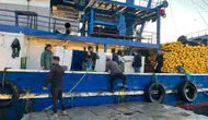 Didim’de hamsi avında kota takibi: Ekipler sahada denetimleri sıkılaştırdı
