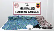 Erdemli'de jandarma operasyonu: 70 bin uyuşturucu hap ele geçirildi