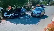 Bodrum'da vicdansız sürücü yolda yatan köpekleri ezip yoluna devam etti