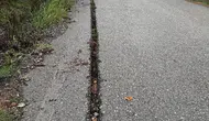 Alaplı'da fiber altyapı mağduriyeti: Kazılan yollar kaderine terk edildi