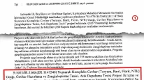 Albayrak, EBB'nin Nadir Toprak Elementi Tesisi için açtığı davaya tepki gösterdi