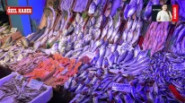 Eskişehir’de Kışın Gözdesi Hamsi ve Sardalya: Fiyatlar Düştü mü?