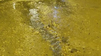 Bu mahallede patlayan boru kabusu bitmek bilmiyor