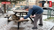 Eskişehir’de Sessiz Bir İyilik Hikâyesi: Fevzi Amca Sokak Hayvanları İçin Yollarda