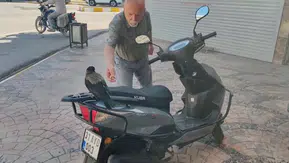 Erzin'in maskotu haline gelen karga ortadan kayboldu: Esnaf geri getirilmesini istiyor