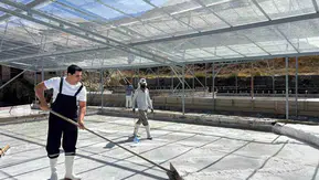Kemah'ın doğal tuz havuzlarında mesai: Kaymakam Tutay hasada eşlik etti