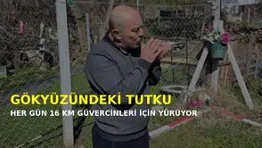 Gökyüzündeki tutku sınır tanımıyor: Eskişehirli güvercin sevdalısı her gün 16 kilometre yol kat ediyor