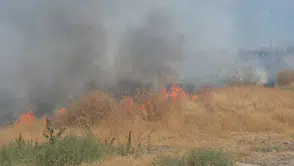 Okul ve Sağlık Ocağının Yanındaki Otluk Alan Alevlere Teslim Oldu