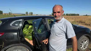 Eskişehir’de 2 bin 500 ton karpuz tarlada kaldı