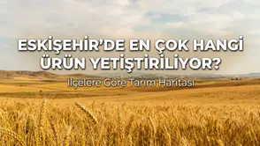 Eskişehir’de En Çok Hangi Ürün Yetiştiriliyor? İlçelere Göre Tarım Haritası