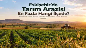 Eskişehir’de Hangi İlçede Daha Fazla Tarım Arazisi Bulunuyor?