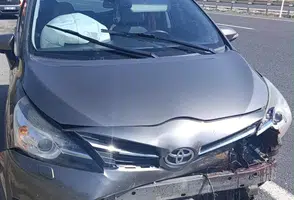Koyuna Çarpan Otomobilde 1 Kişi Yaralandı