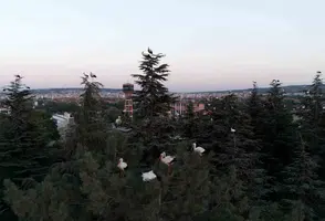 Eskişehir’de göç yolundaki leylekler havadan görüntülendi