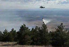 Bektaşpınarı’nda Orman Yangını: Ekipler Seferber Oldu
