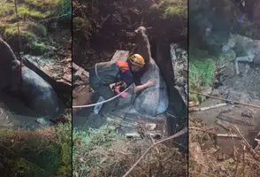 71 Evler’de Kuyuya Düşen Yaralı At Kurtarıldı