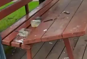 Parkı Tahrip Ettiler, Çöplerini de Bırakıp Gittiler