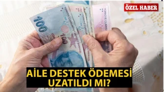 AİLE DESTEK ÖDEMESİ 2024 GÜNCEL DURUM: Uzatıldı mı, bitti mi? 2025'te devam edecek mi?