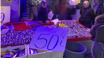 Balıkçılarda Hamsiye Yoğun Talep: Fiyatı 50 Liraya Düştü