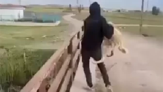 **Eskişehir'de Sokak Köpeğini Köprüden Atan Şahıs Sosyal Medyada Tepki Çekti**