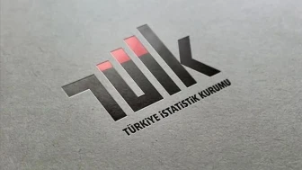 TÜİK 2024 Yılının Motorlu Kara Taşıtlarını Verilerini Açıkladı