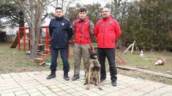 Eskişehir'in İlk K-9 Arama Kurtarma Köpeği ''Adam'' Afetlere Hazırlanıyor