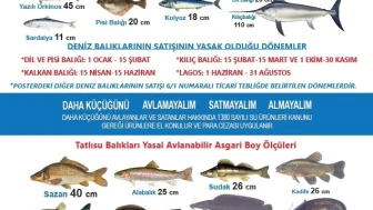 Balıkçılıkta Yasal Sınırlamalar Eskişehir’de Duyuruldu