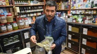 Zencefil, Kekik ve Propolis: Eskişehir’de Vatandaşların Kış Reçetesi