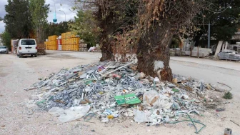 Baksan Sanayi Sitesi’nde rahatsız edici görüntü: ağacın dibi çöple doldu
