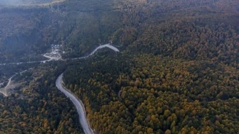 Kütahya’da Mest Eden Sonbahar Renkleri