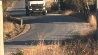 Tekören'de ağaç dalları yolu daralttı: Sürücüler çözüm bekliyor