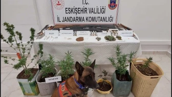 Eskişehir’de Uyuşturucu ve Silah Operasyonu! 7 Şüpheli Yakalandı, İşte Detaylar