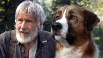 Vahşetin çağrısı köpek gerçek mi, yapay zeka mı?