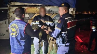 Afyonkarahisar’da Küçükbaş Hırsızları Yakayı Ele Verdi