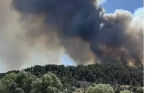 Seyitgazi’de orman yangını davasında takipsizlik kararı tepki çekti