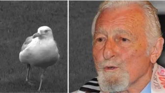 Süleyman Saba martı sözü gerçek mi yoksa kurgu mu?