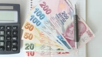 Beklenmedik Durumlara Karşı Finansal Güvence Sağlama Kılavuzu