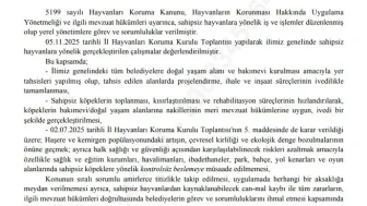 İstanbul Belediyesi’ne Yeni Talimat: Sokak Hayvanlarına Kontrolsüz Besleme Yasaklandı