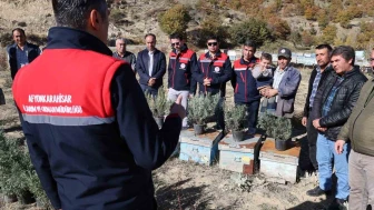 Afyonkarahisar'da Arıcalara Lavanta Fidesi Dağıtıldı