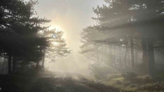 Bozdağ’da Sabah Sisi Kartpostallık Görüntüler Oluşturdu