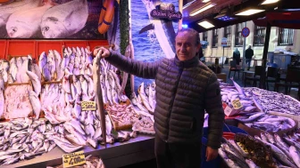 Yılan balığı balık tezgahlarında yerini aldı