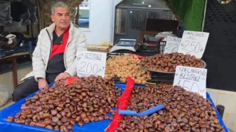 Kış aylarının vazgeçilmezi Simav kestanesi