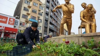 Eskişehir kış boyunca binlerce çiçekle renklenecek