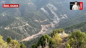 Alpagut’ta Altın Madeni Tepkisi: “Gittiğimiz yerlerde gördük, köyler yok olmuş”
