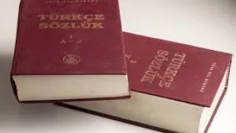 TDK’nin 2025 kelimesi “dijital vicdan” tartışma yarattı: Dilbilimcilerden sert eleştiri