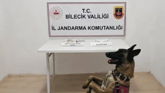 Jandarma Şüphelendi, Araçtan Yasaklı Madde Ele Geçirildi