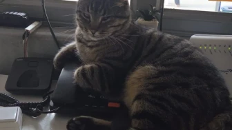 Eskişehir’de Hayvansever Taksi Durağı Örnek Oluyor