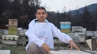 Hobi Olarak Başladı, Türkiye’nin Ana Arı Tedarikçilerinden Biri Oldu