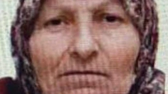 67 Yaşındaki Kadın Saatlerce Arandığı Ormanda Sağ Bulundu